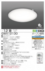 GWX12130