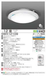 GWX12109