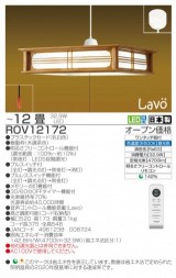 ROV12172